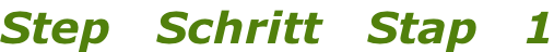 Step   Schritt   Stap   1